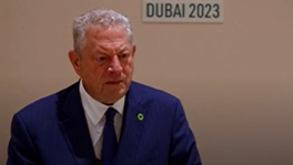 Al Gore Slams COP28 Climate Summit Host UAE, Says Its Emissions Soared